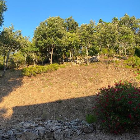 Li Paduleddi Country Guest House Olbia Kültér fotó