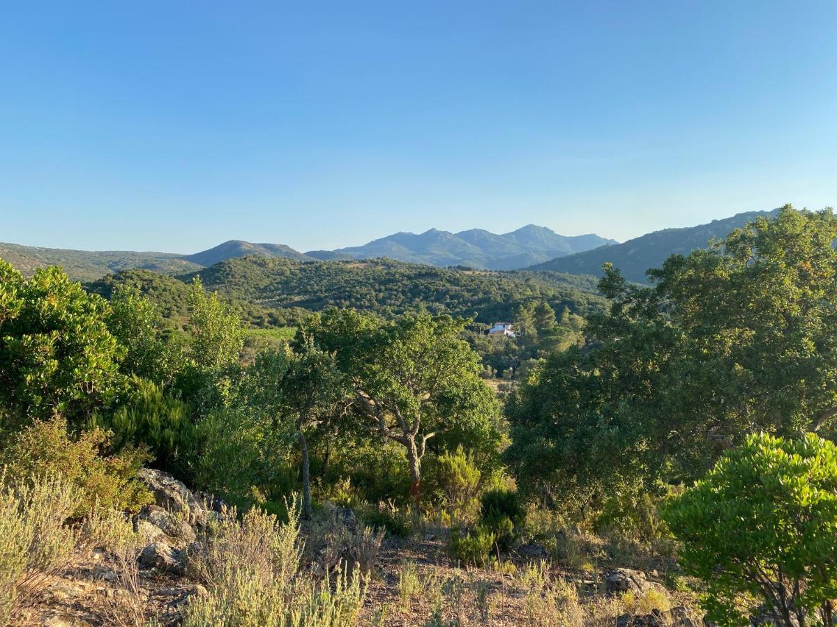 Li Paduleddi Country Guest House Olbia Kültér fotó