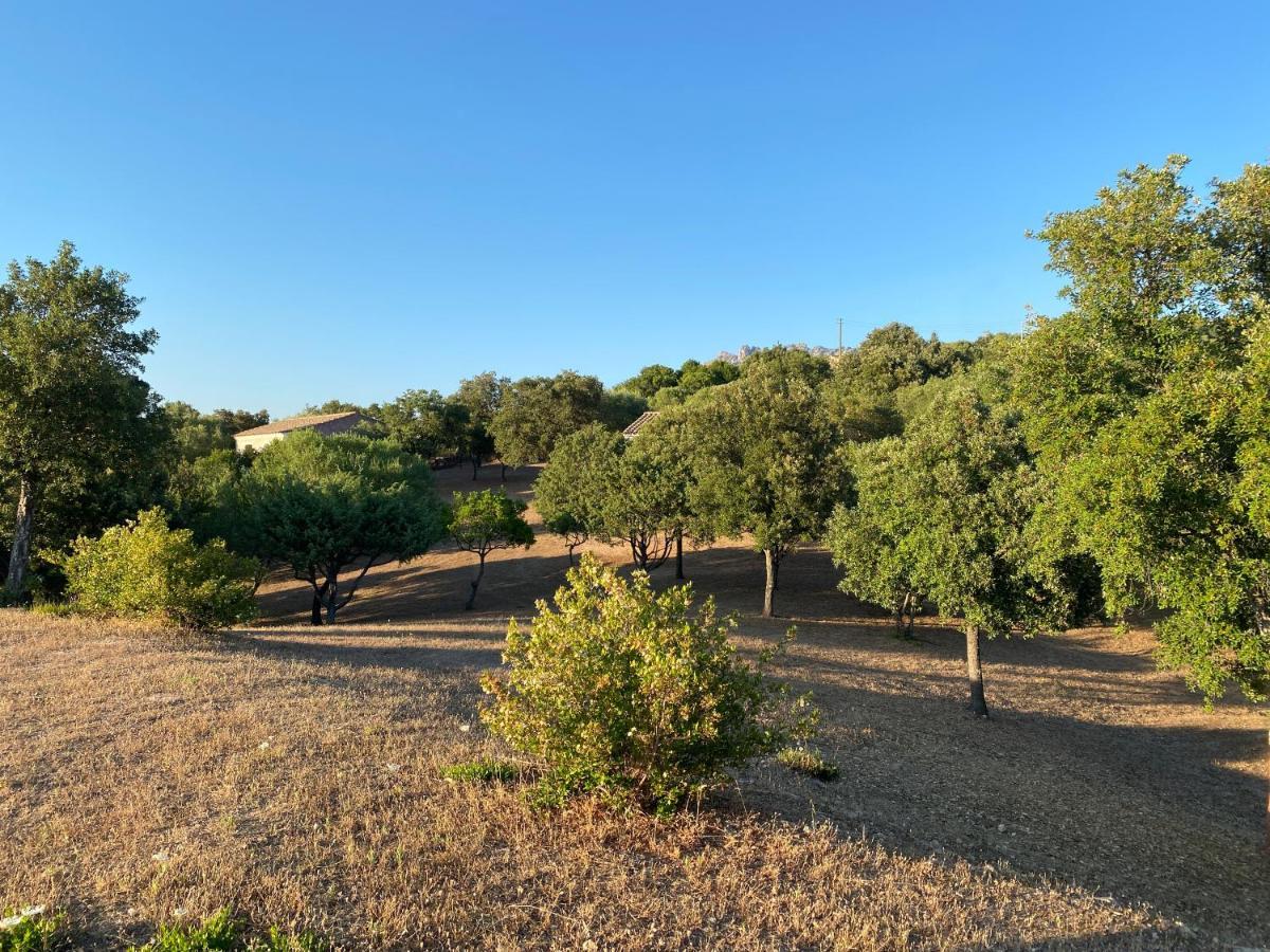 Li Paduleddi Country Guest House Olbia Kültér fotó