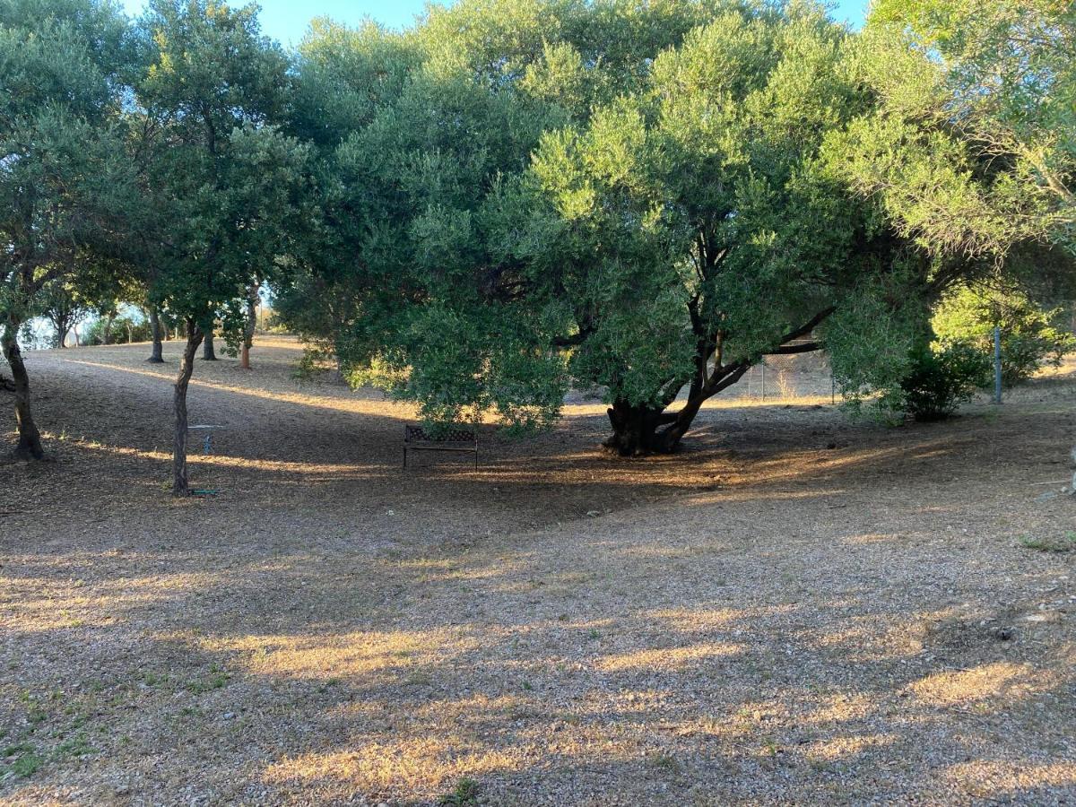 Li Paduleddi Country Guest House Olbia Kültér fotó