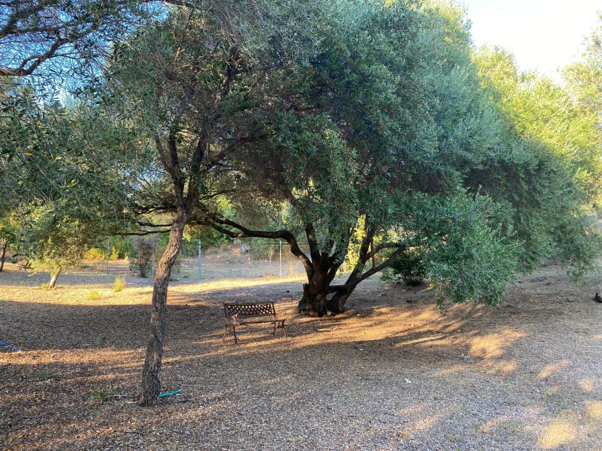 Li Paduleddi Country Guest House Olbia Kültér fotó