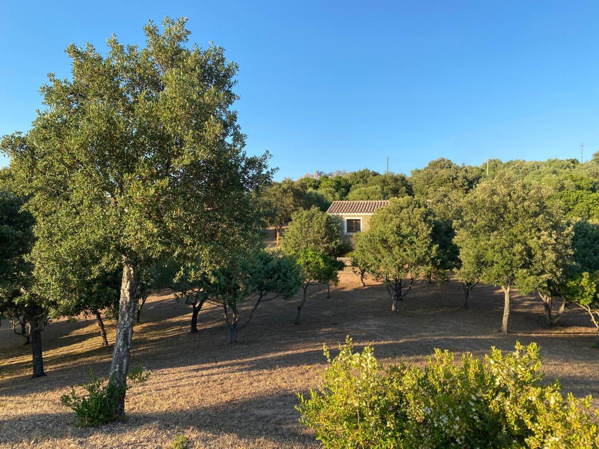 Li Paduleddi Country Guest House Olbia Kültér fotó