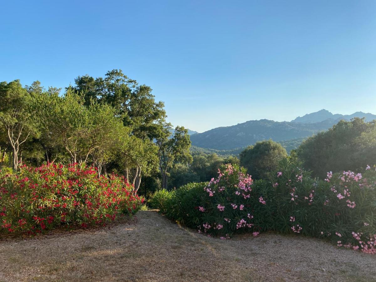 Li Paduleddi Country Guest House Olbia Kültér fotó