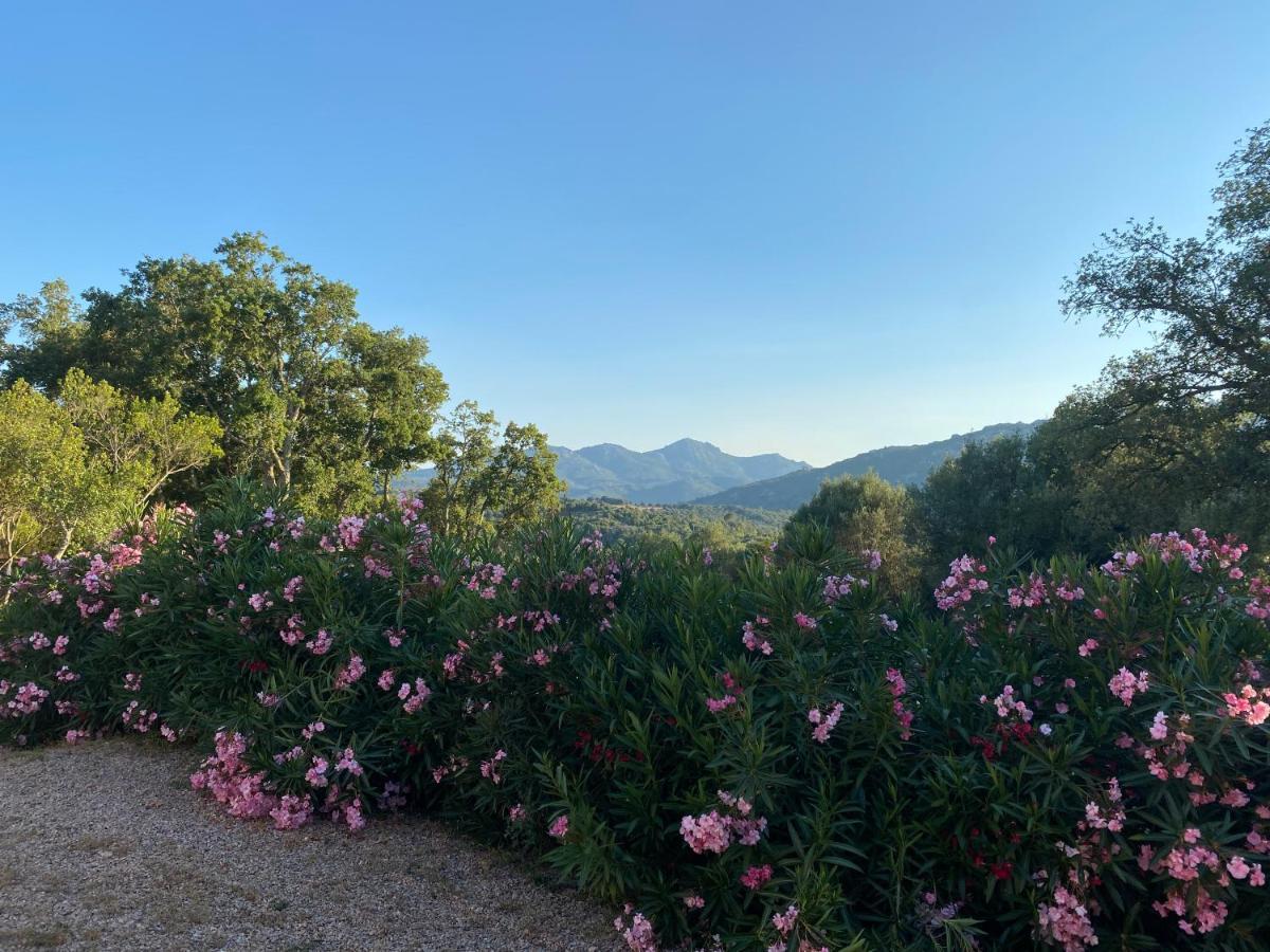 Li Paduleddi Country Guest House Olbia Kültér fotó